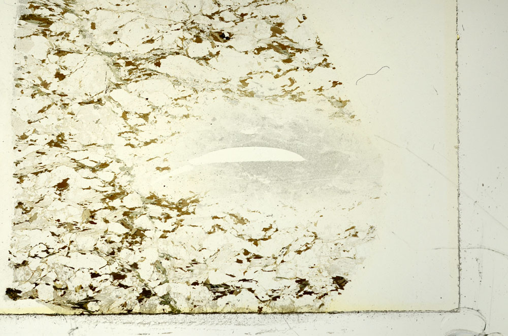Plane Polarized, S86472