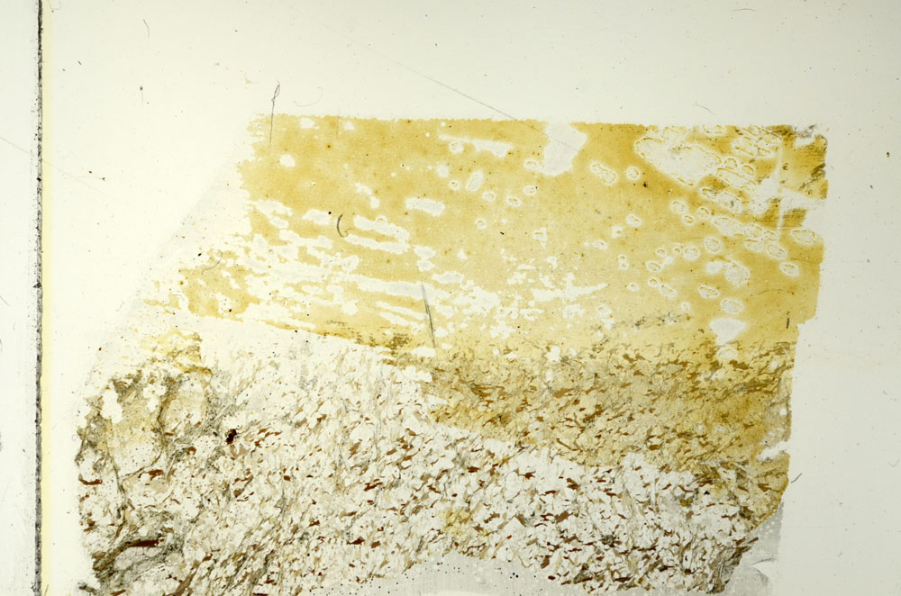 Plane Polarized, S86481