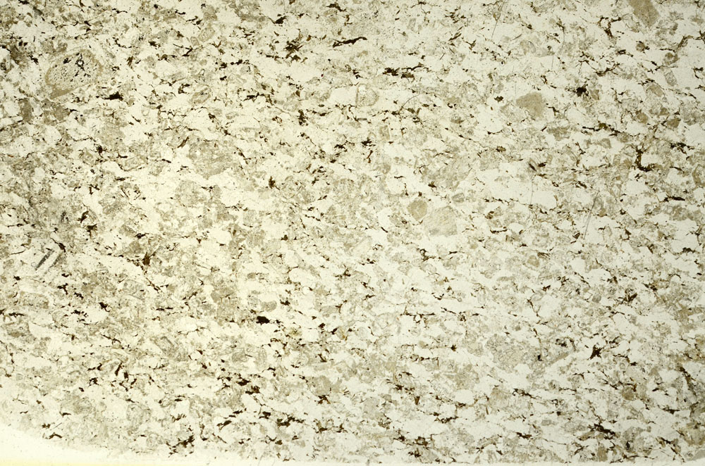Plane Polarized, S86495