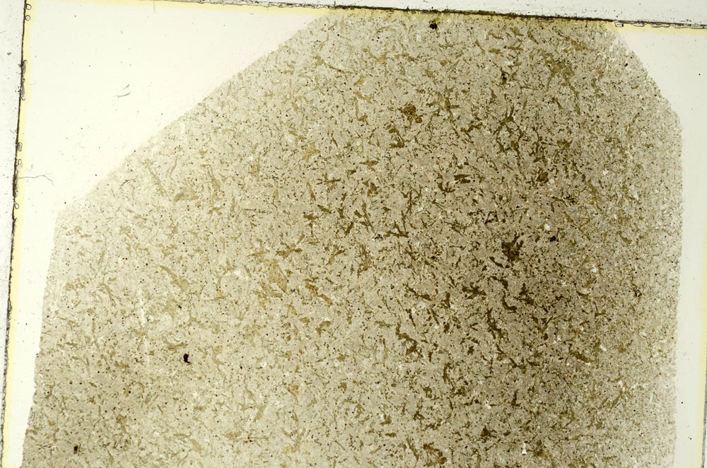 Plane Polarized, S86497