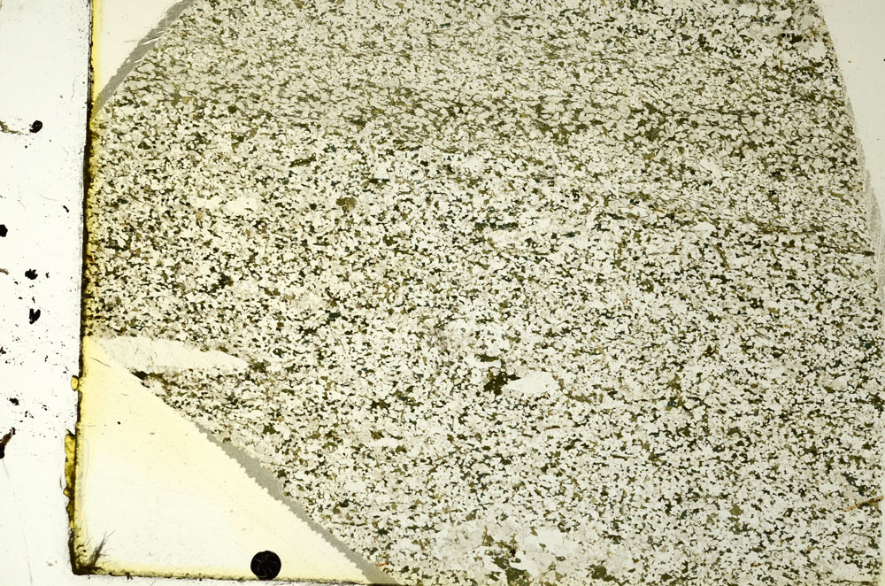 Plane Polarized, S86498