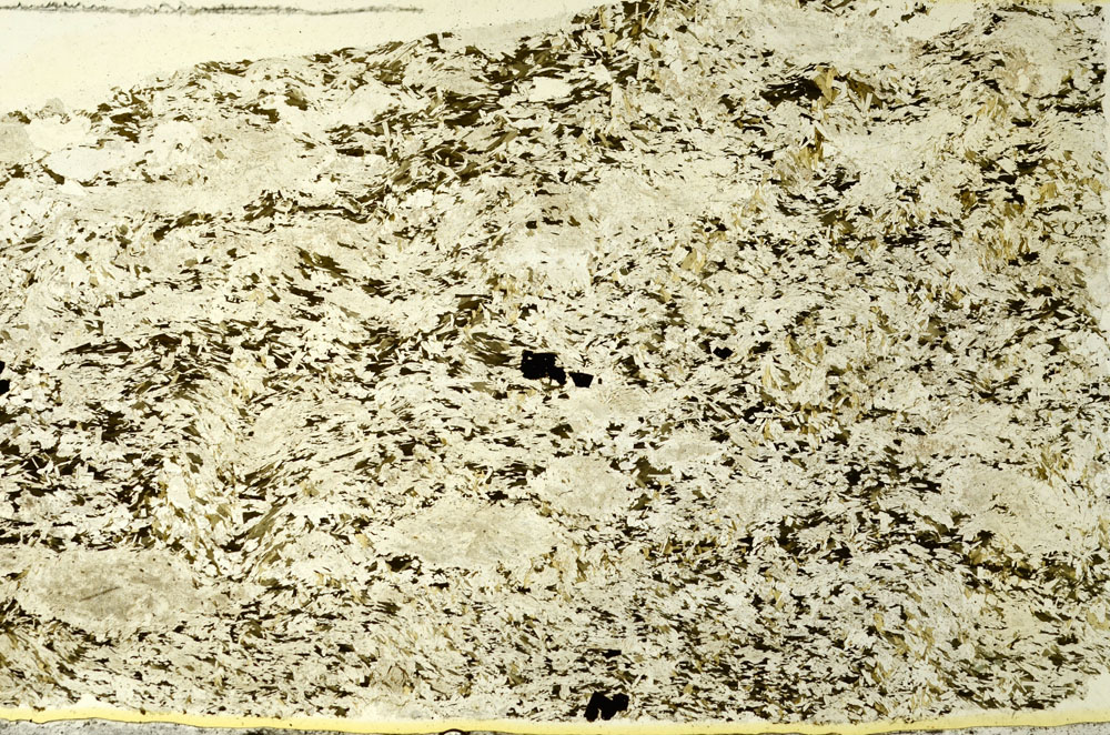 Plane Polarized, S86504