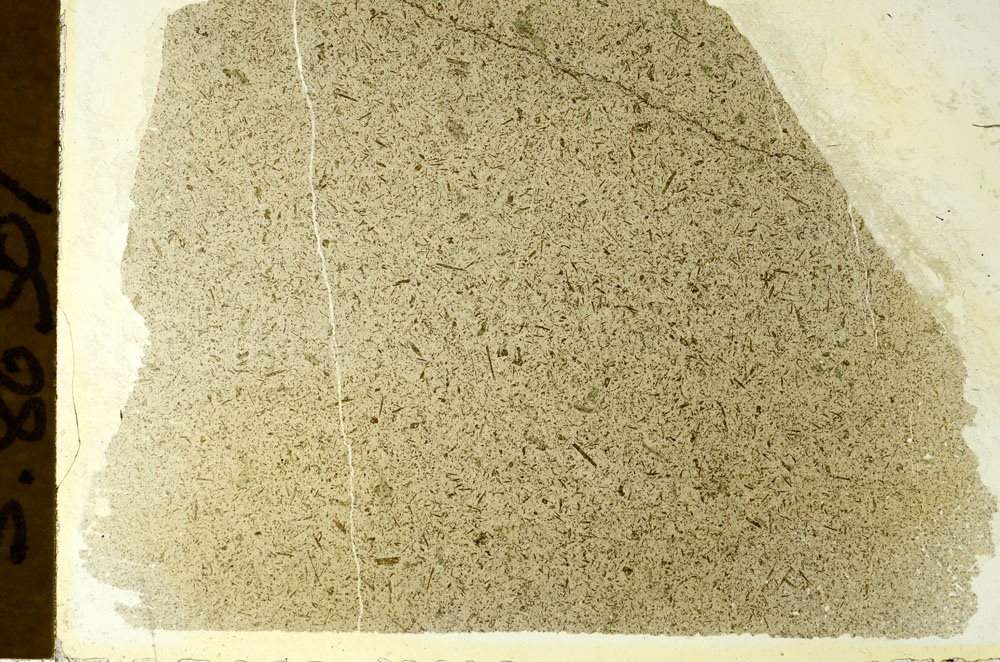 Plane Polarized, S86507