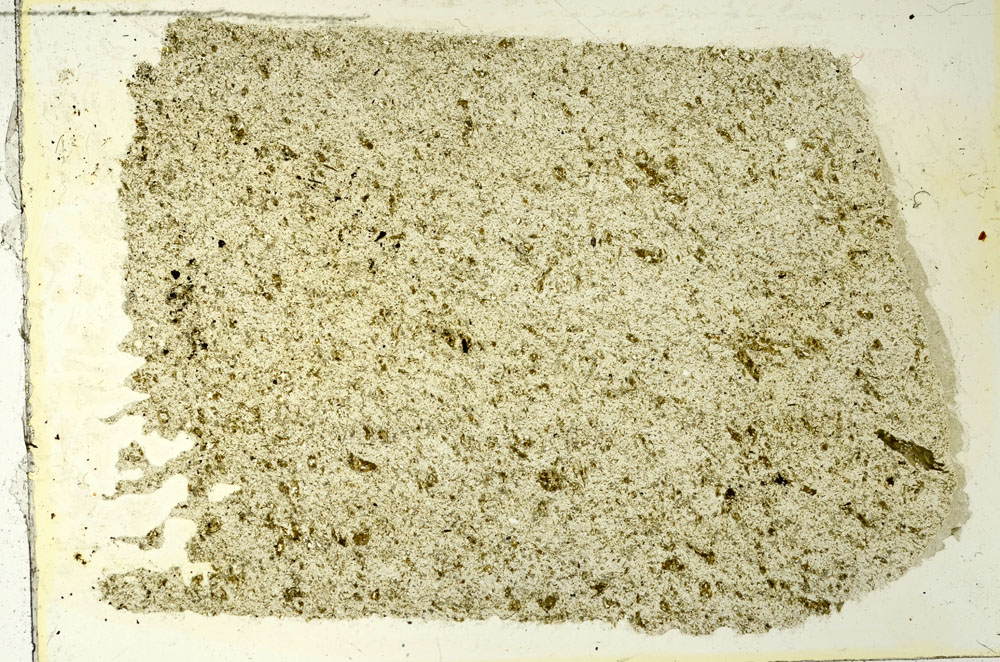 Plane Polarized, S86508