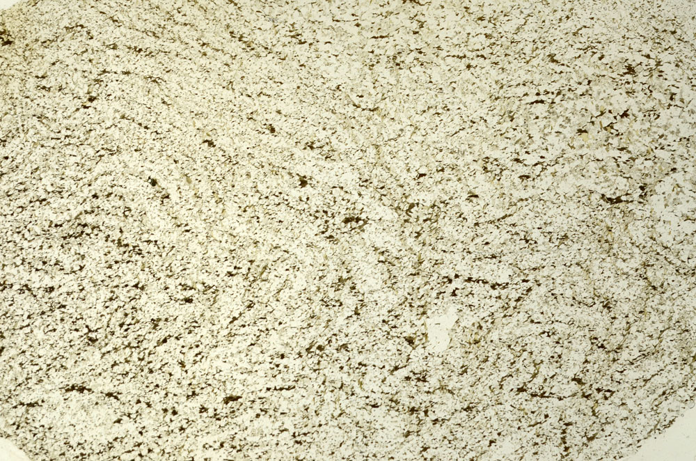 Plane Polarized, S86515