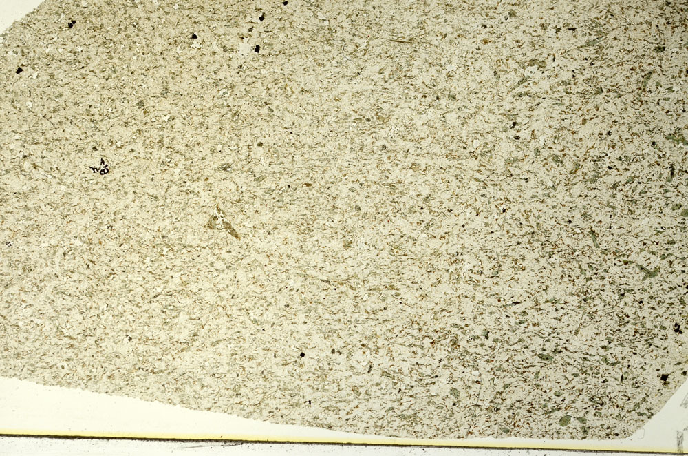 Plane Polarized, S86519