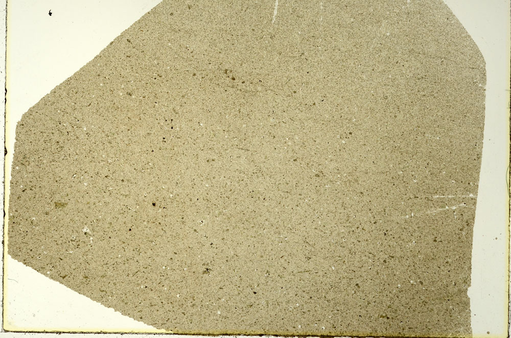 Plane Polarized, S86520