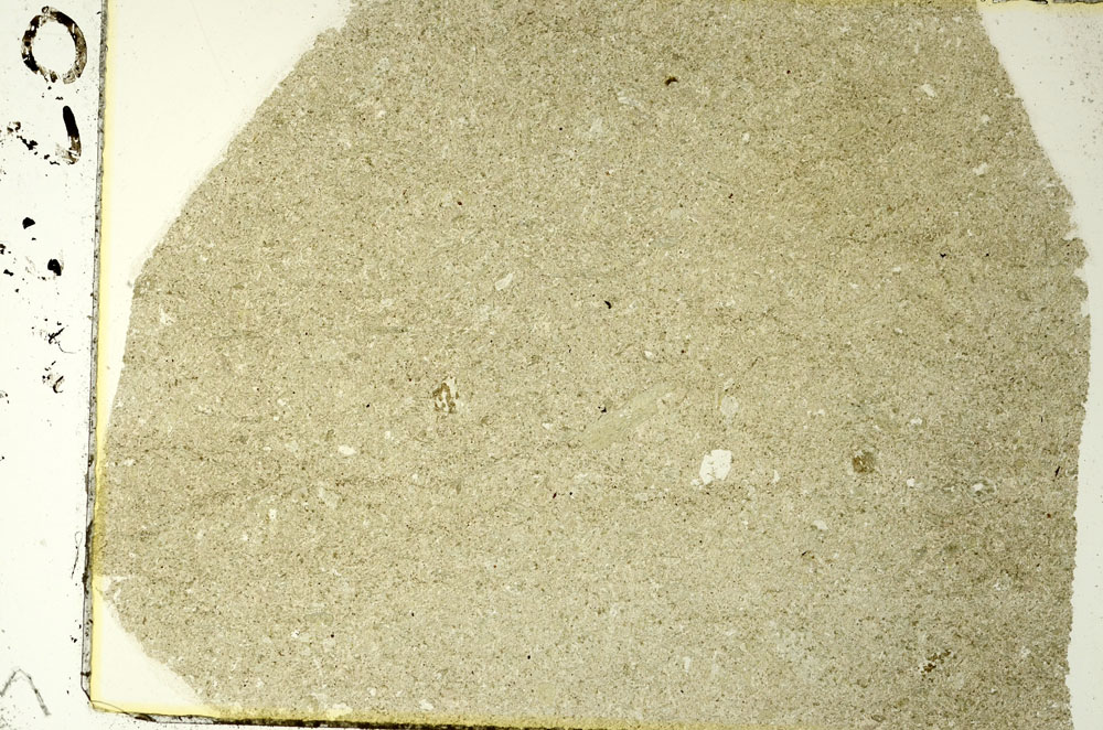 Plane Polarized, S86521