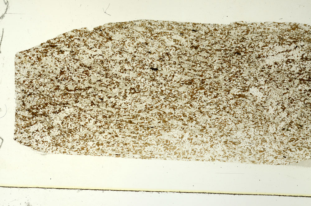 Plane Polarized, S86522