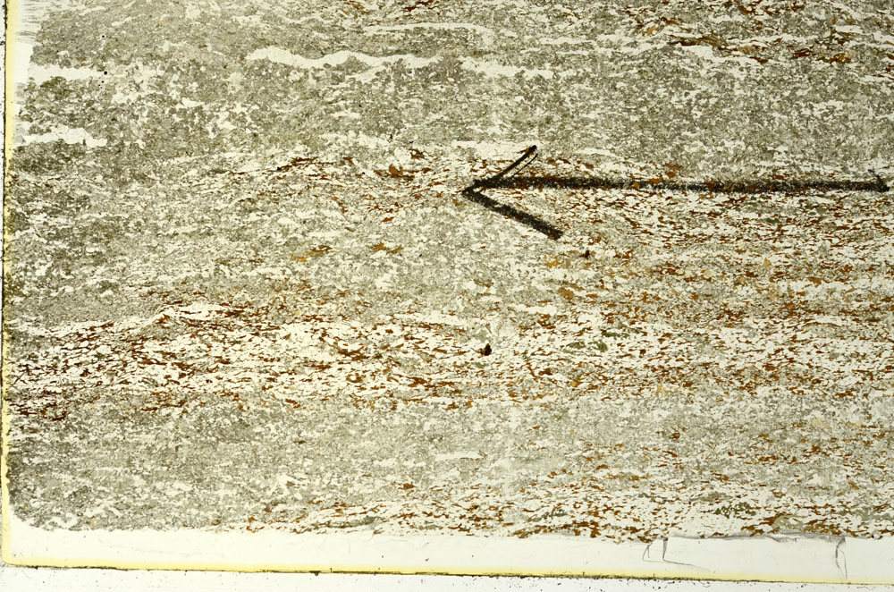 Plane Polarized, S86523