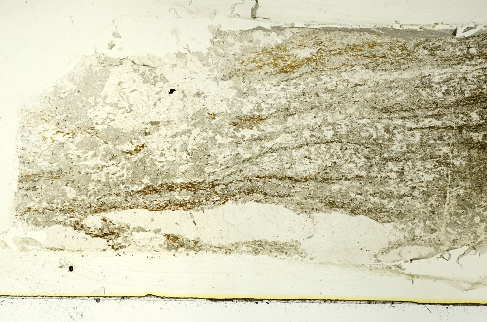 Plane Polarized, S86526