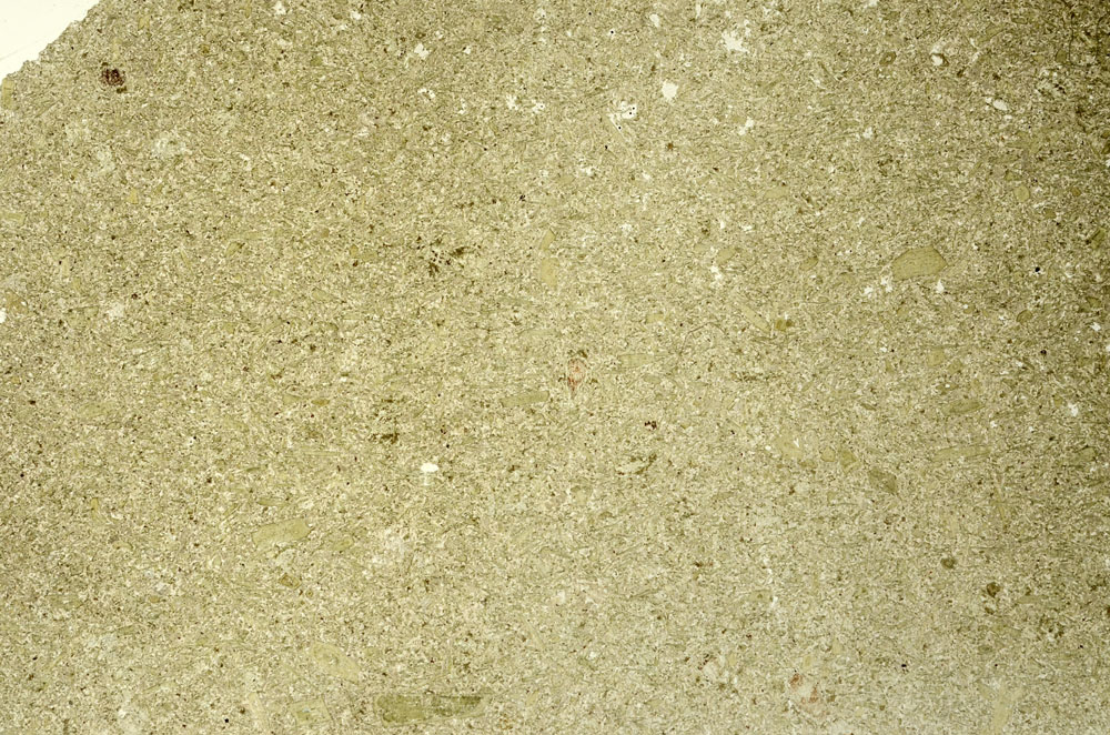 Plane Polarized, S86527
