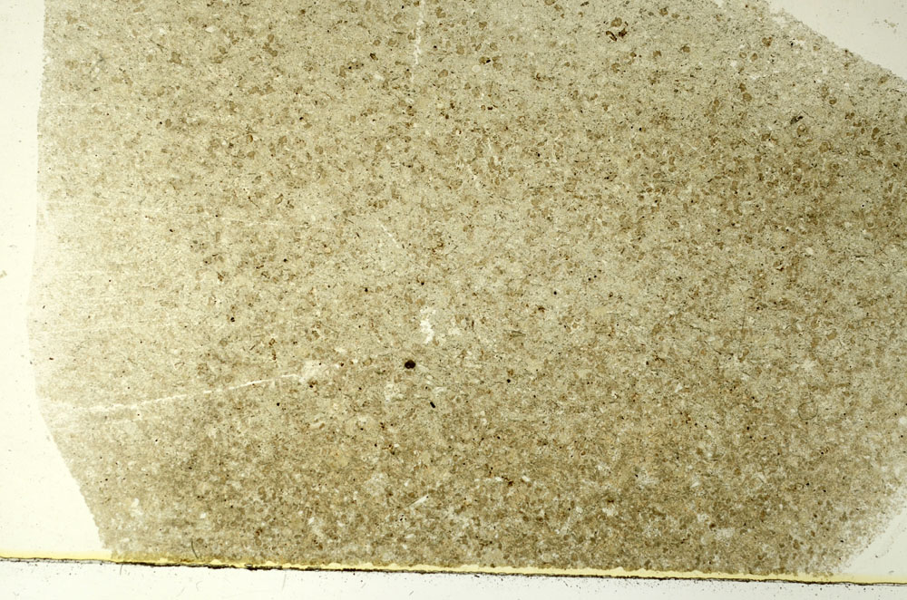 Plane Polarized, S86528