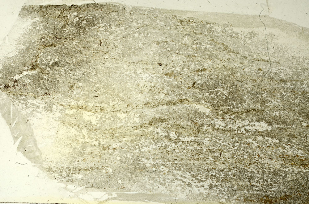 Plane Polarized, S86529