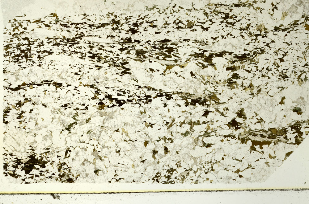 Plane Polarized, S86532