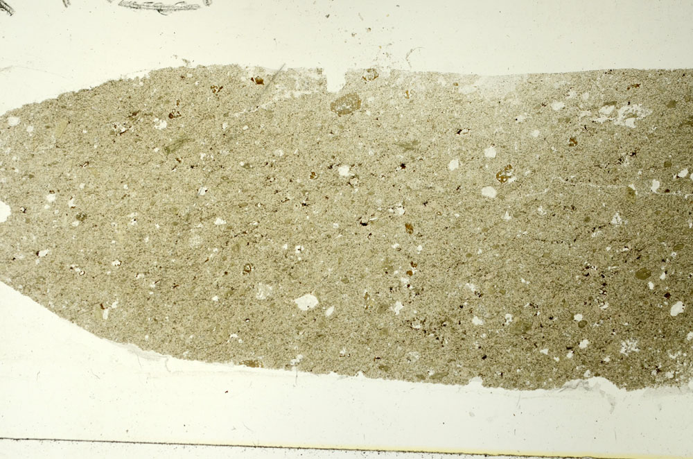 Plane Polarized, S86533