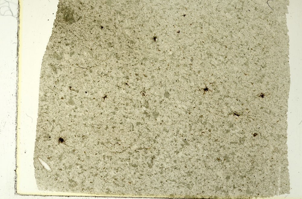 Plane Polarized, S86536
