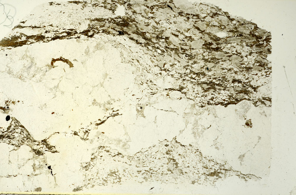 Plane Polarized, S86538
