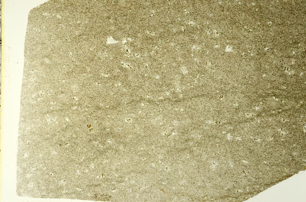 Plane Polarized, S86566