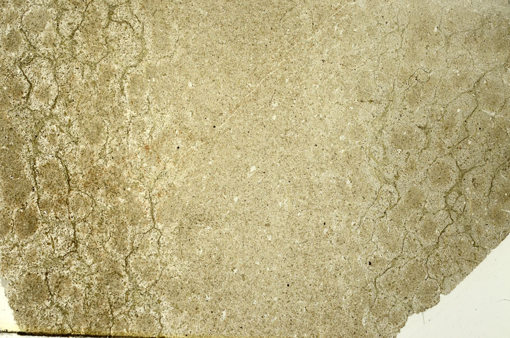 Plane Polarized, S86575