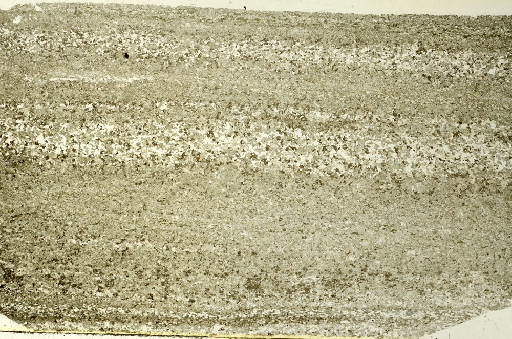 Plane Polarized, S86576