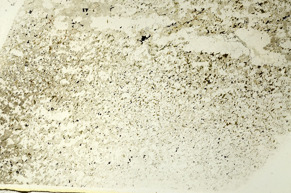 Plane Polarized, S86579