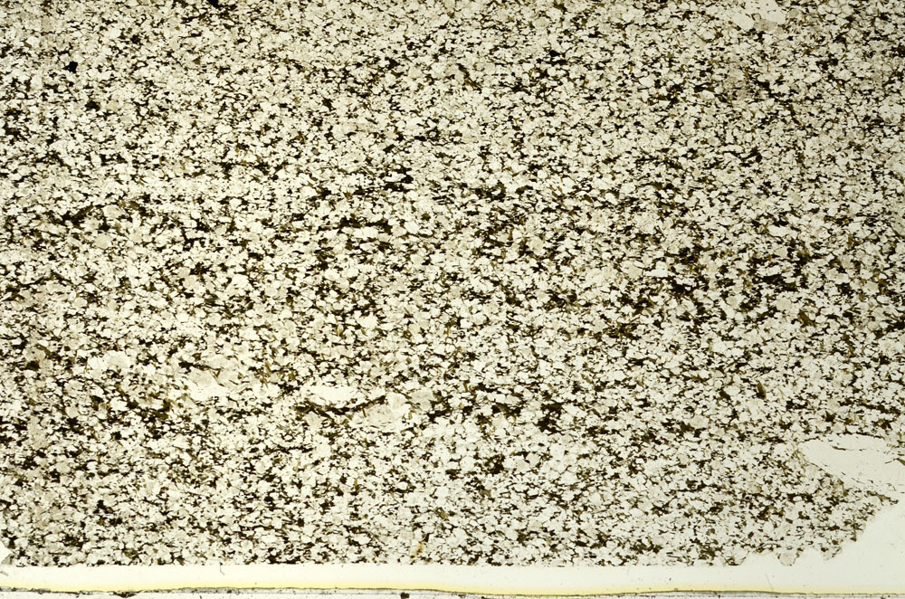 Plane Polarized, S86582