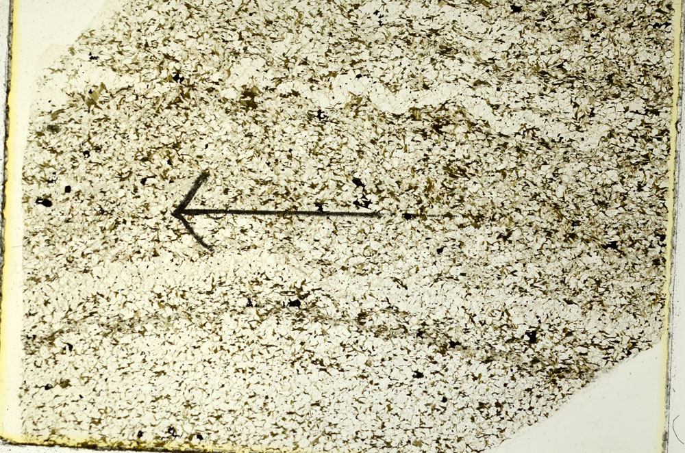 Plane Polarized, S86586