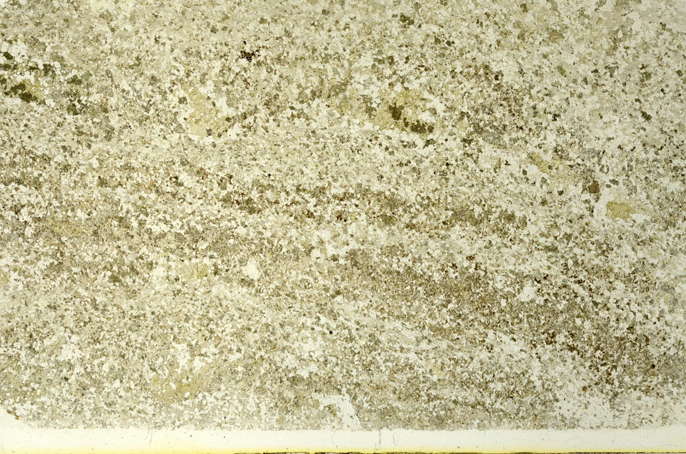 Plane Polarized, S86587