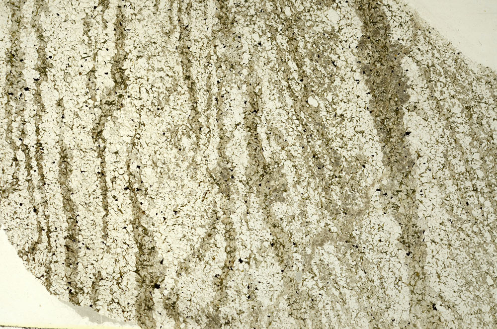 Plane Polarized, S86589