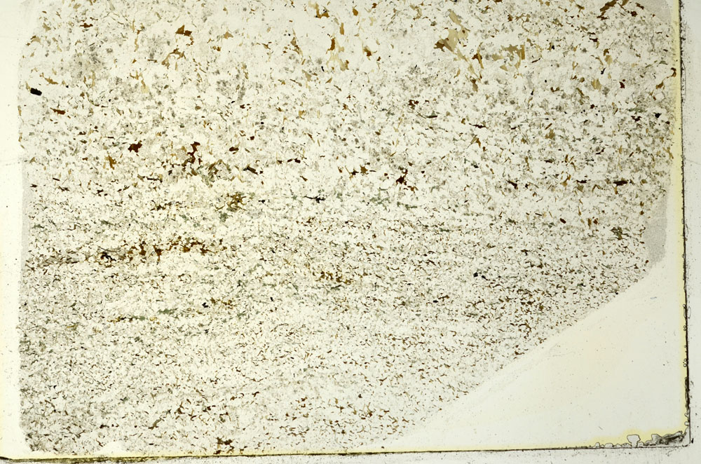 Plane Polarized, S86592