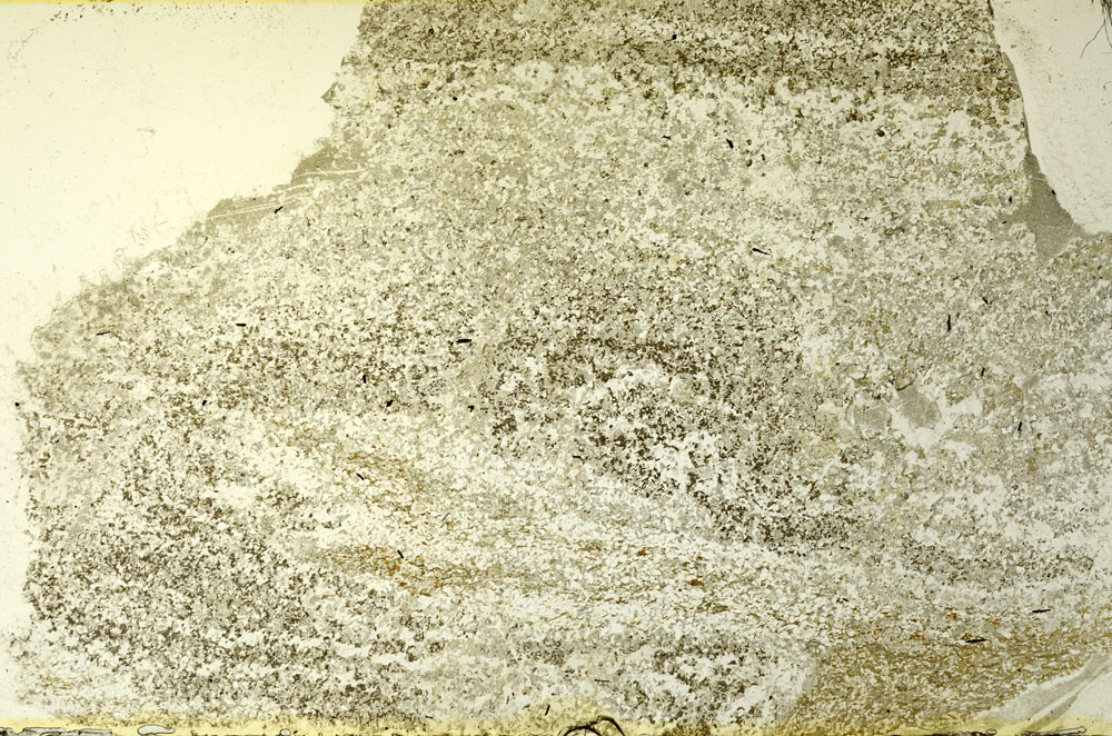 Plane Polarized, S86596