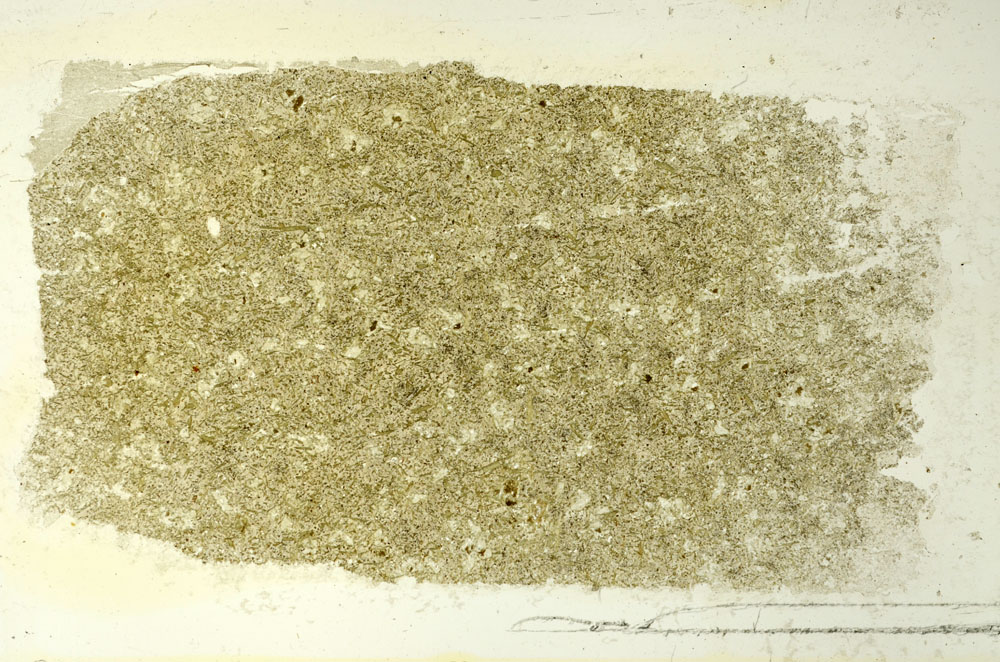 Plane Polarized, S86598