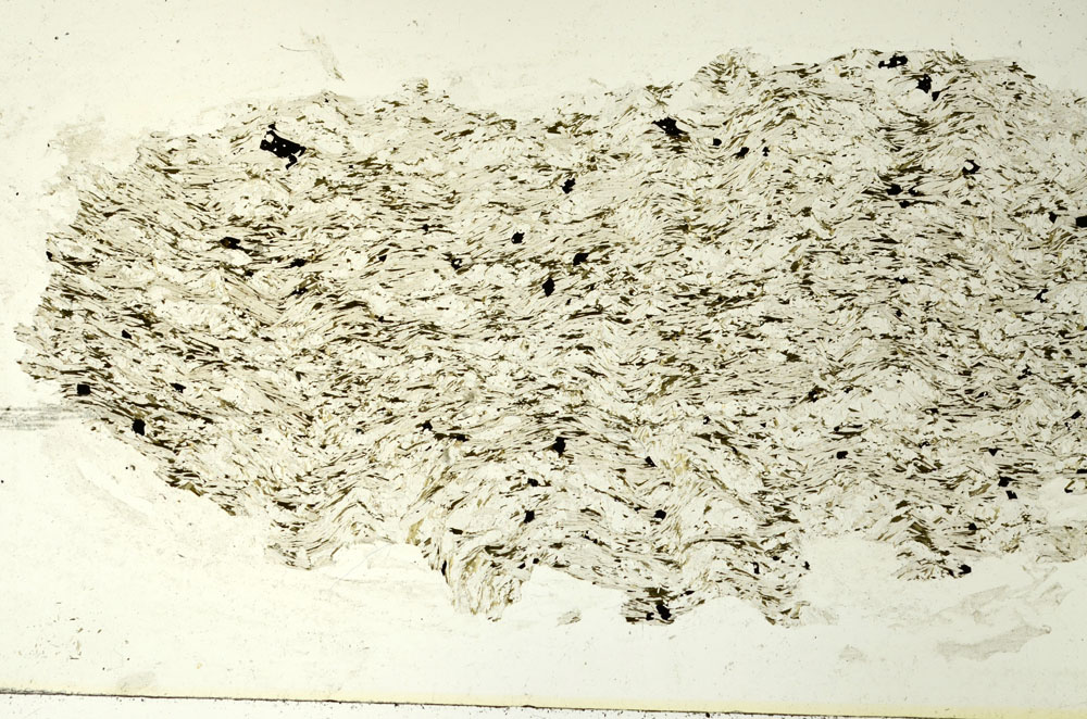 Plane Polarized, S86605