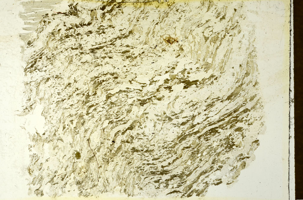 Plane Polarized, S86609