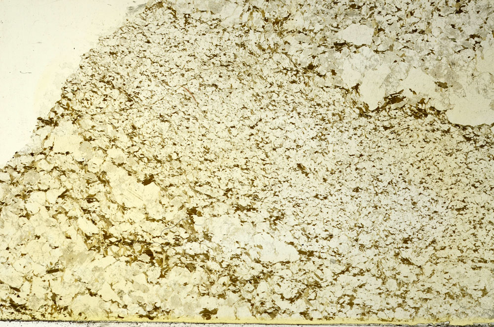 Plane Polarized, S86610