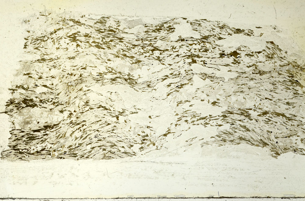 Plane Polarized, S86612