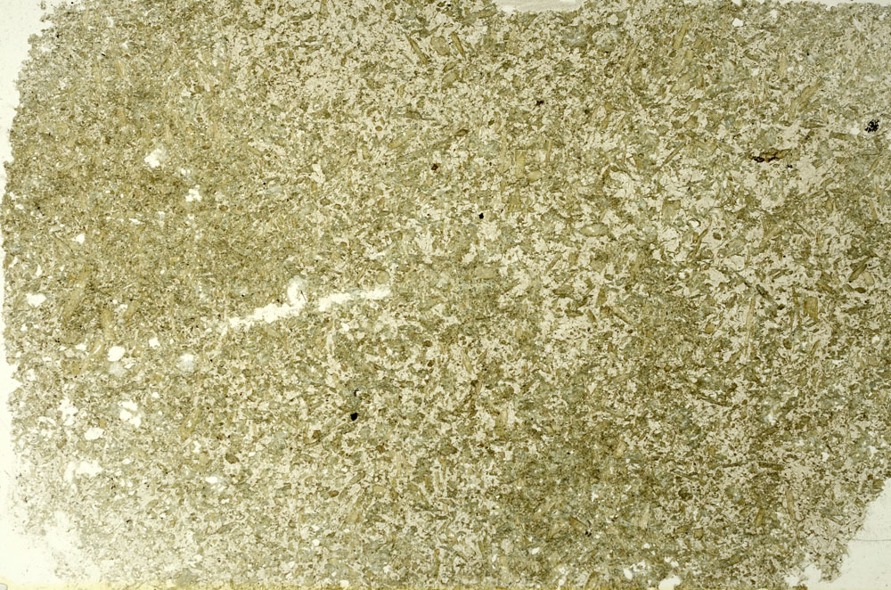 Plane Polarized, S86613