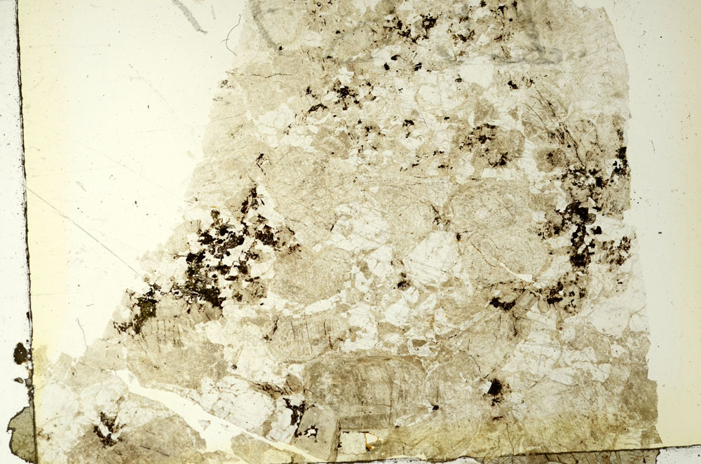 Plane Polarized, S86699