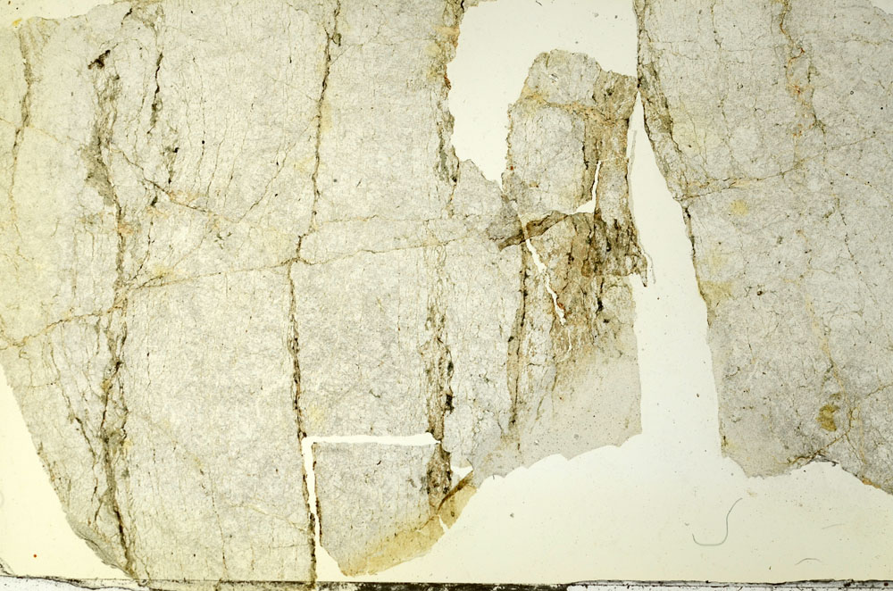 Plane Polarized, S86704