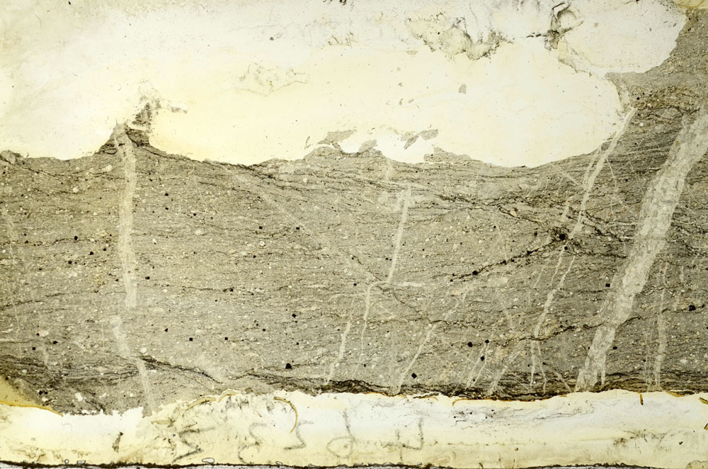 Plane Polarized, S86715