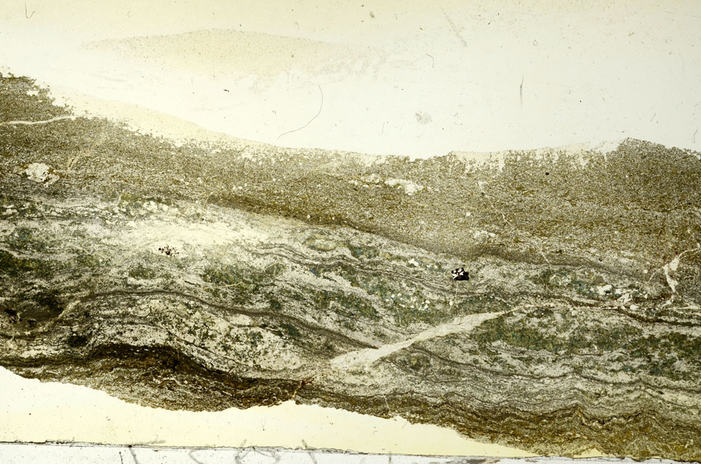 Plane Polarized, S86720