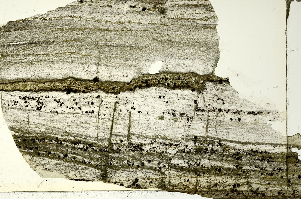 Plane Polarized, S86721