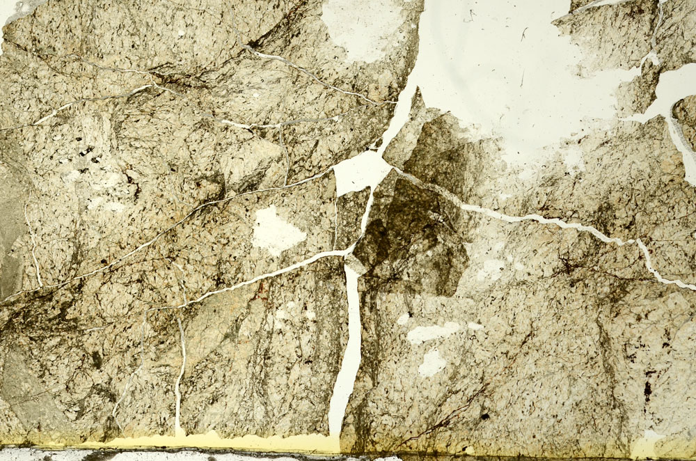 Plane Polarized, S86733