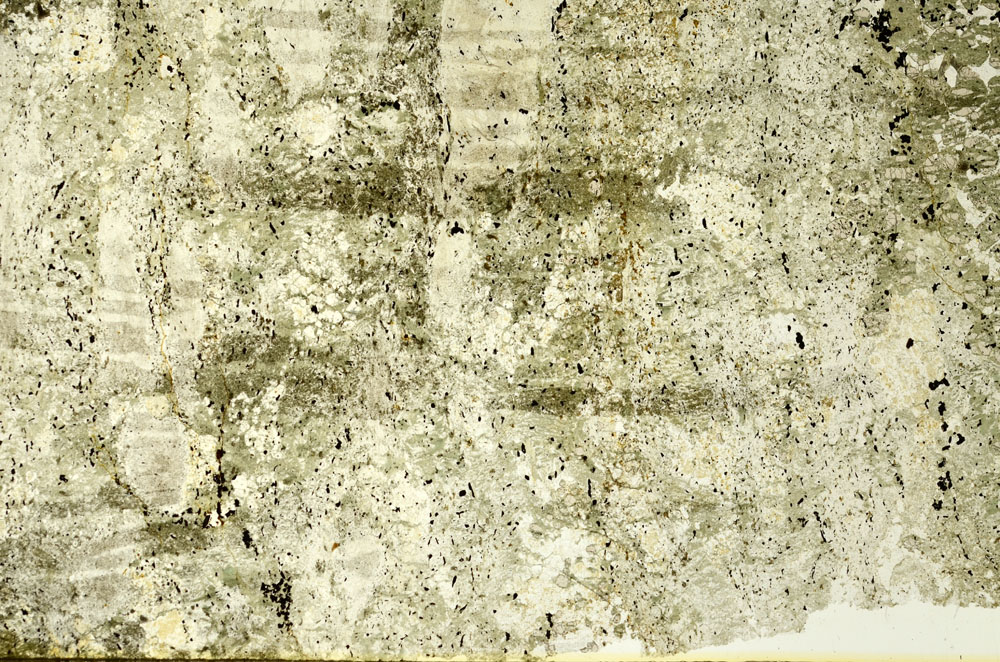Plane Polarized, S86749
