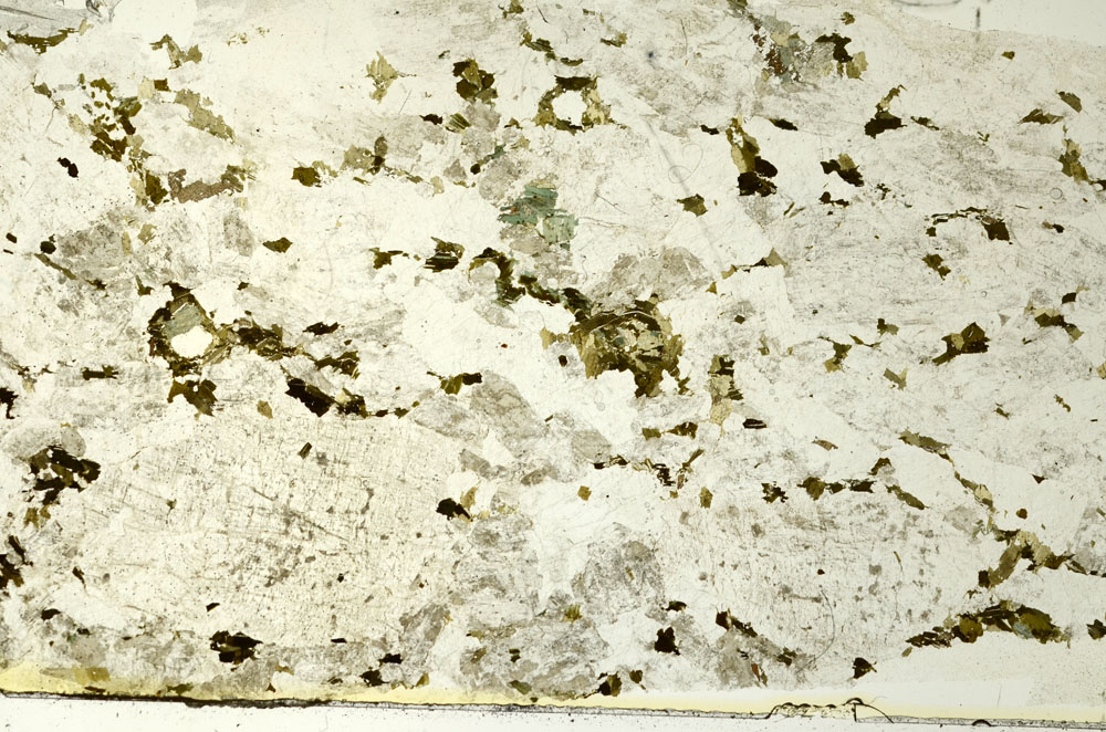 Plane Polarized, S86753