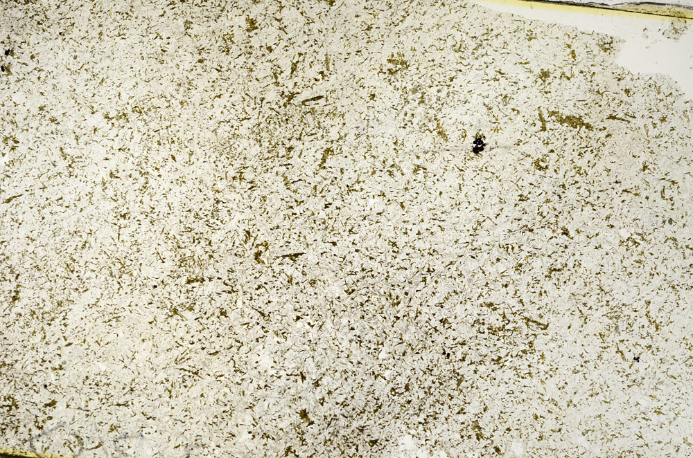 Plane Polarized, S86778