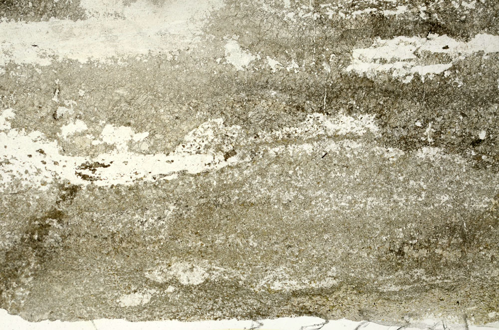 Plane Polarized, S86782