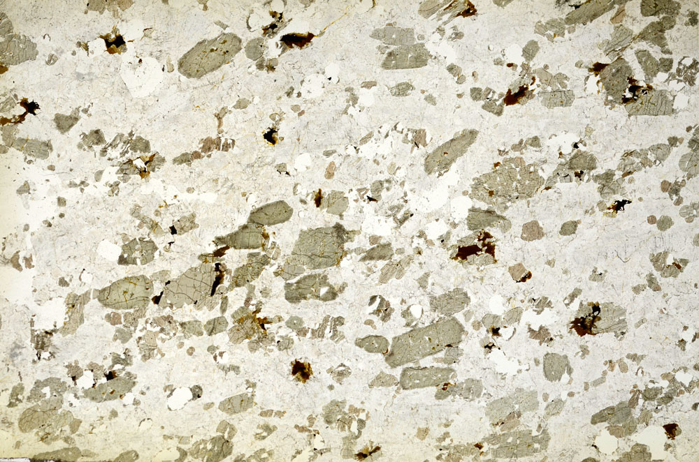 Plane Polarized, S86784