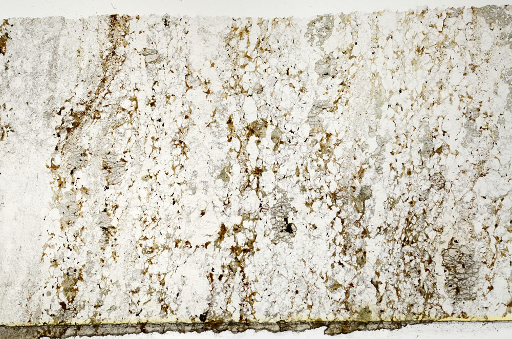 Plane Polarized, S86813